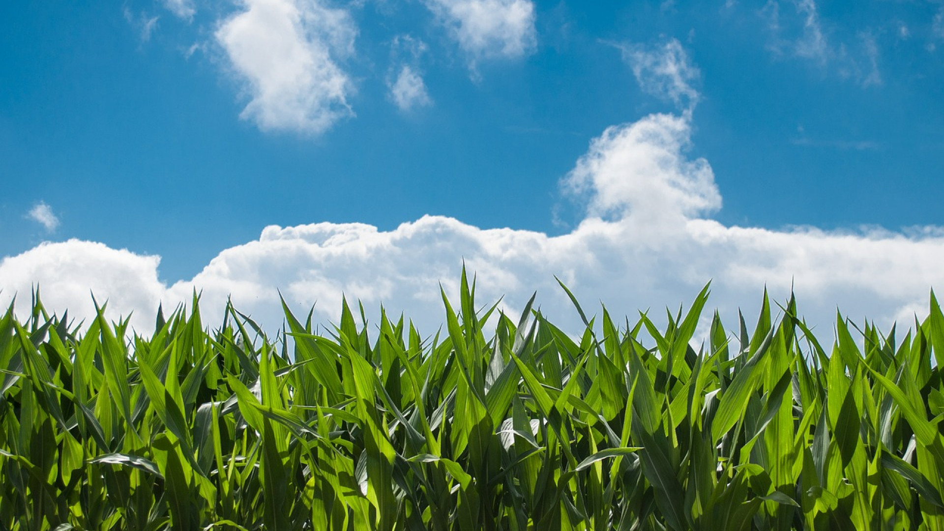 Comment trouver du matériel pour les travaux agricoles ?